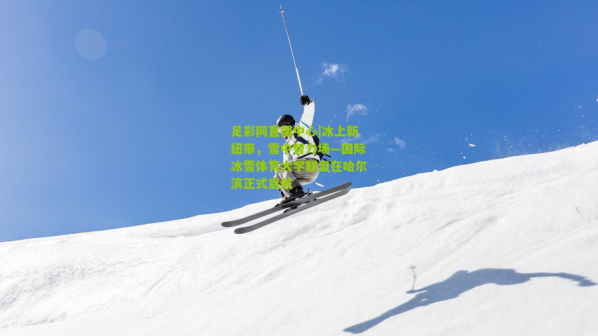 冰上新纽带，雪中智力场—国际冰雪体育大学联盟在哈尔滨正式启航