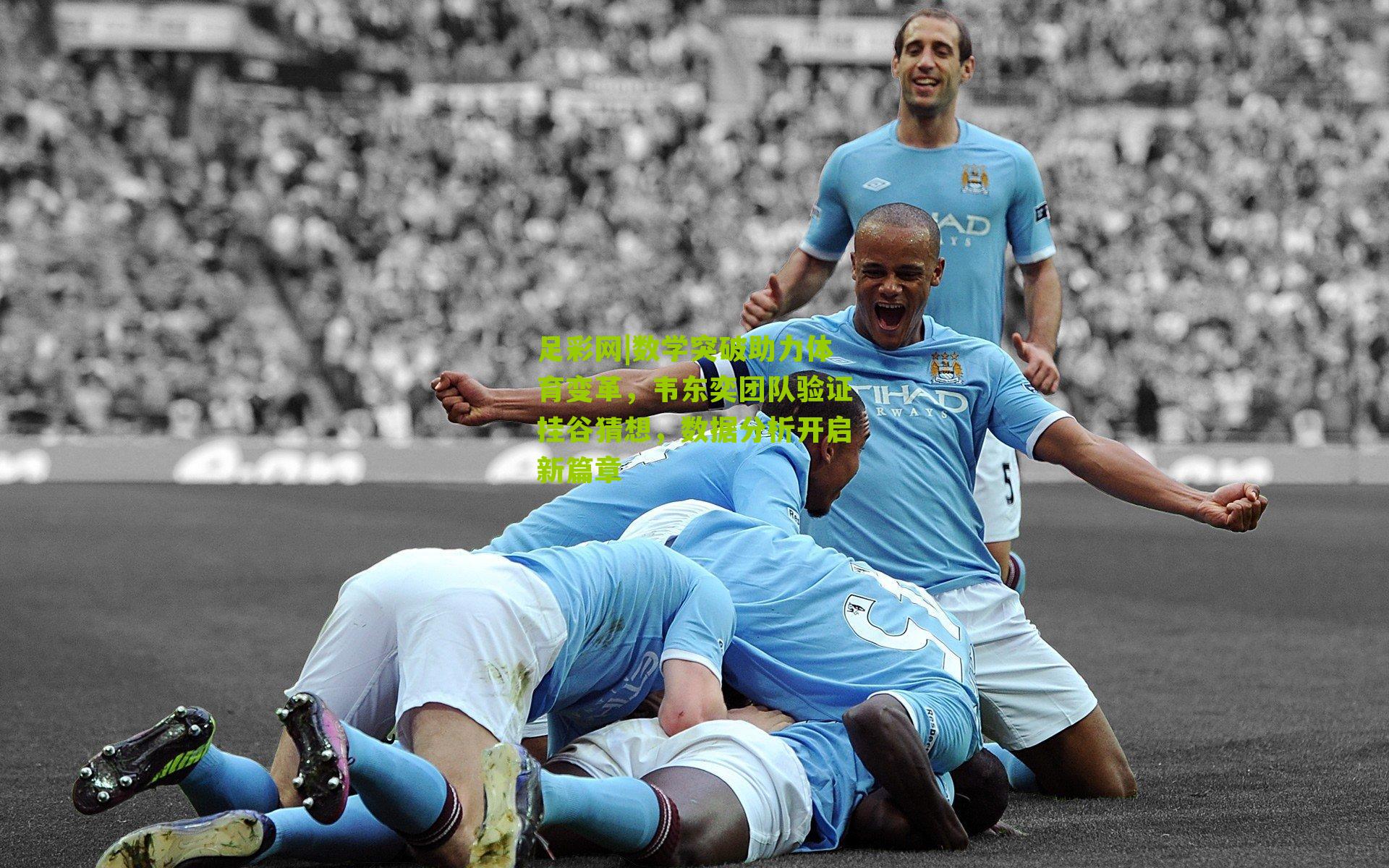 数学突破助力体育变革，韦东奕团队验证挂谷猜想，数据分析开启新篇章